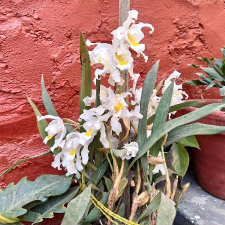 Bhattidanda Fresh & Natural Homestay Dhulikhel Exteriör bild