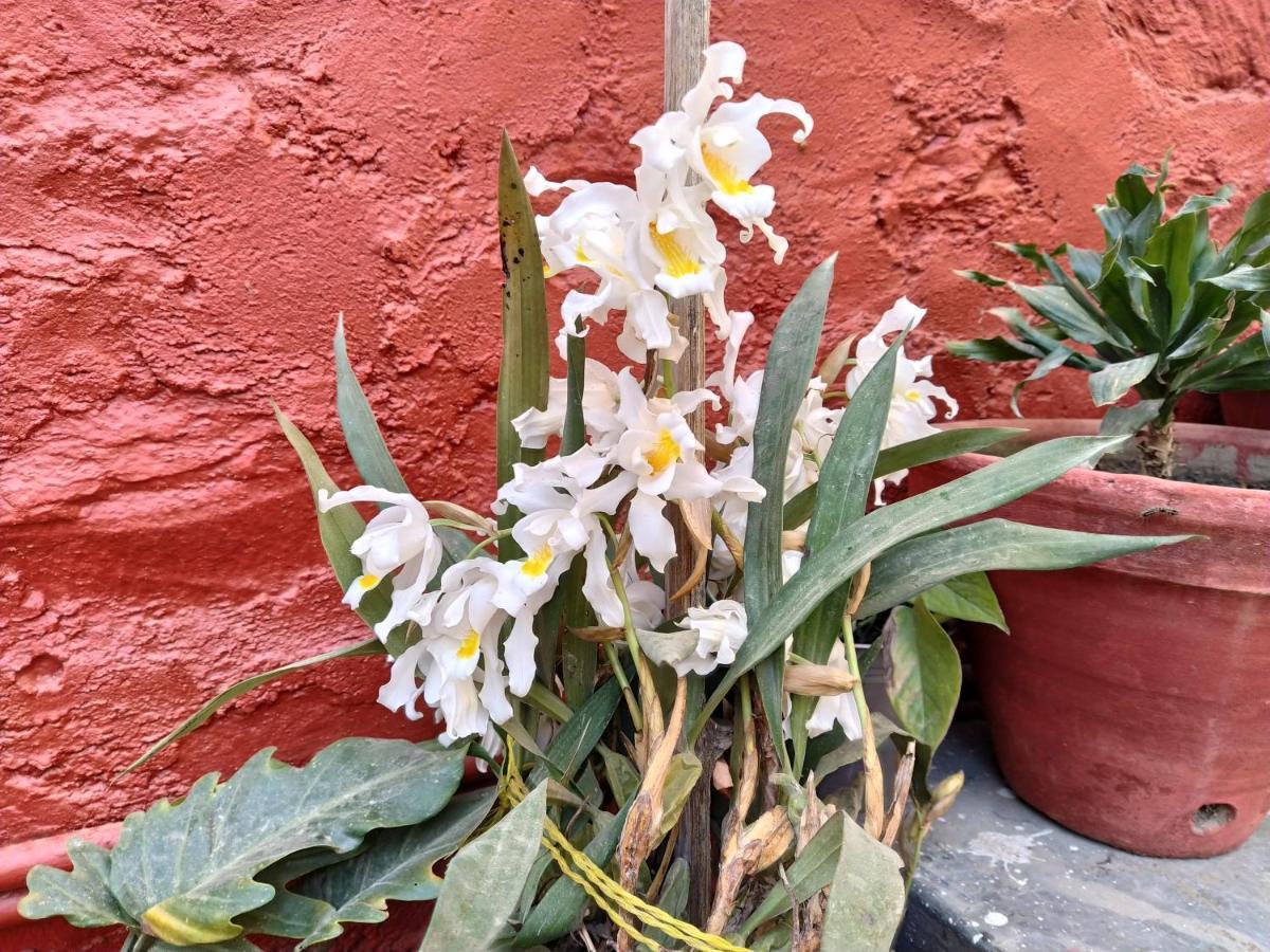Bhattidanda Fresh & Natural Homestay Dhulikhel Exteriör bild