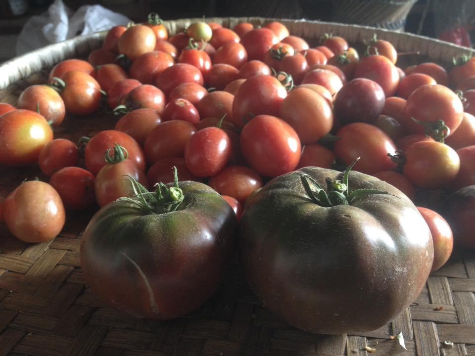 Bhattidanda Fresh & Natural Homestay Dhulikhel Exteriör bild