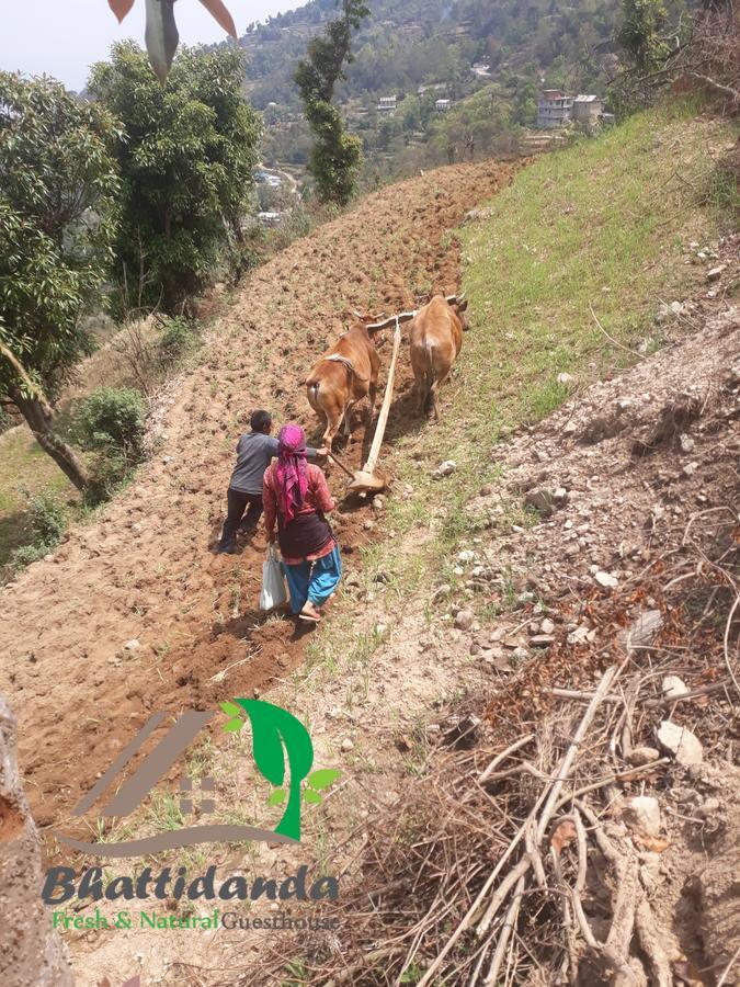 Bhattidanda Fresh & Natural Homestay Dhulikhel Exteriör bild