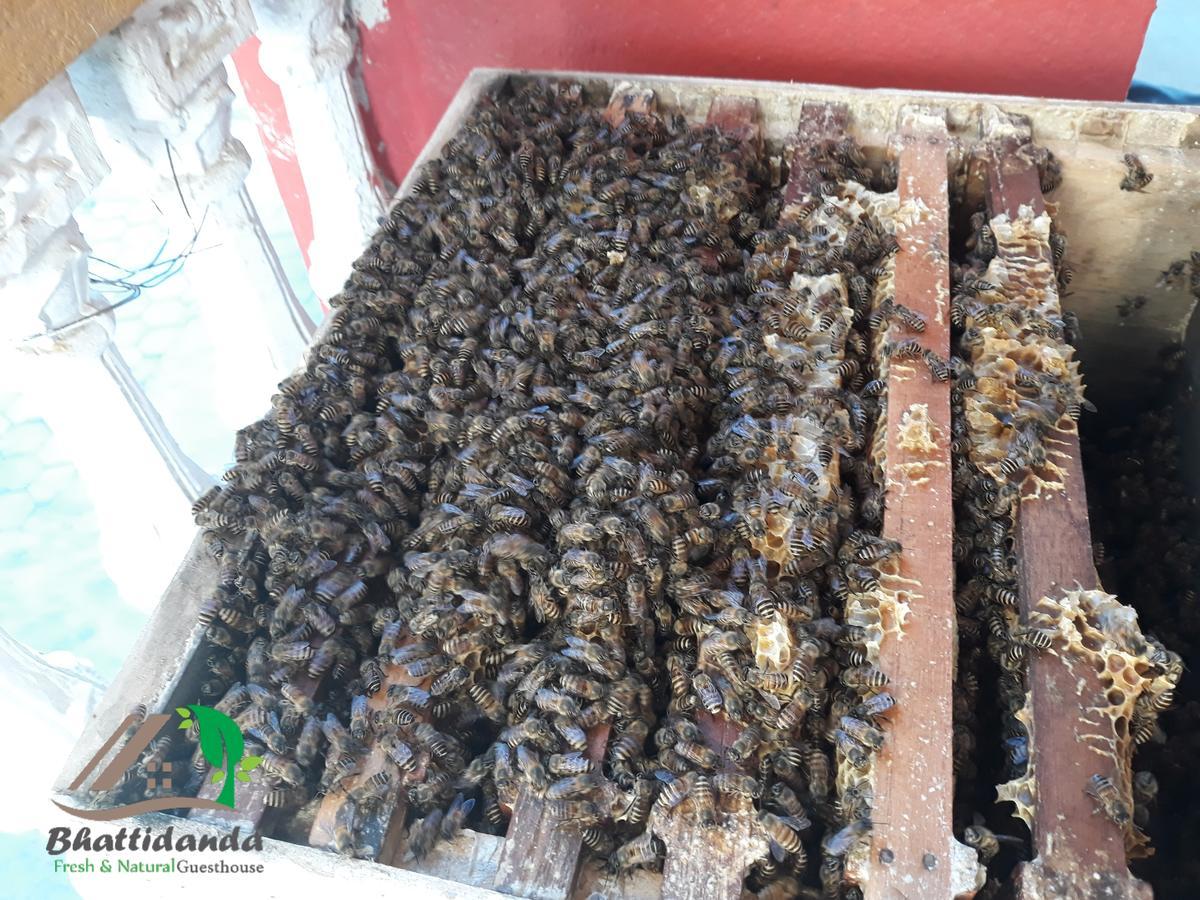 Bhattidanda Fresh & Natural Homestay Dhulikhel Exteriör bild